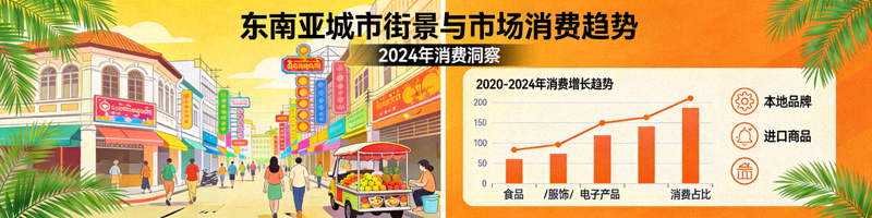 东南亚新兴市场本地化运营与数据分析实战案例详解配图